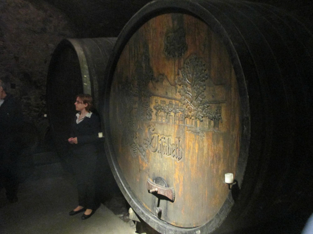 Weingut Nikolaihof-Mautern an der Donau必去景点