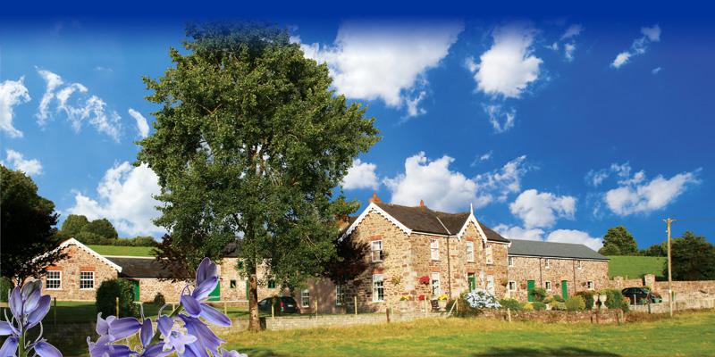 Bluebell House B & B-官方