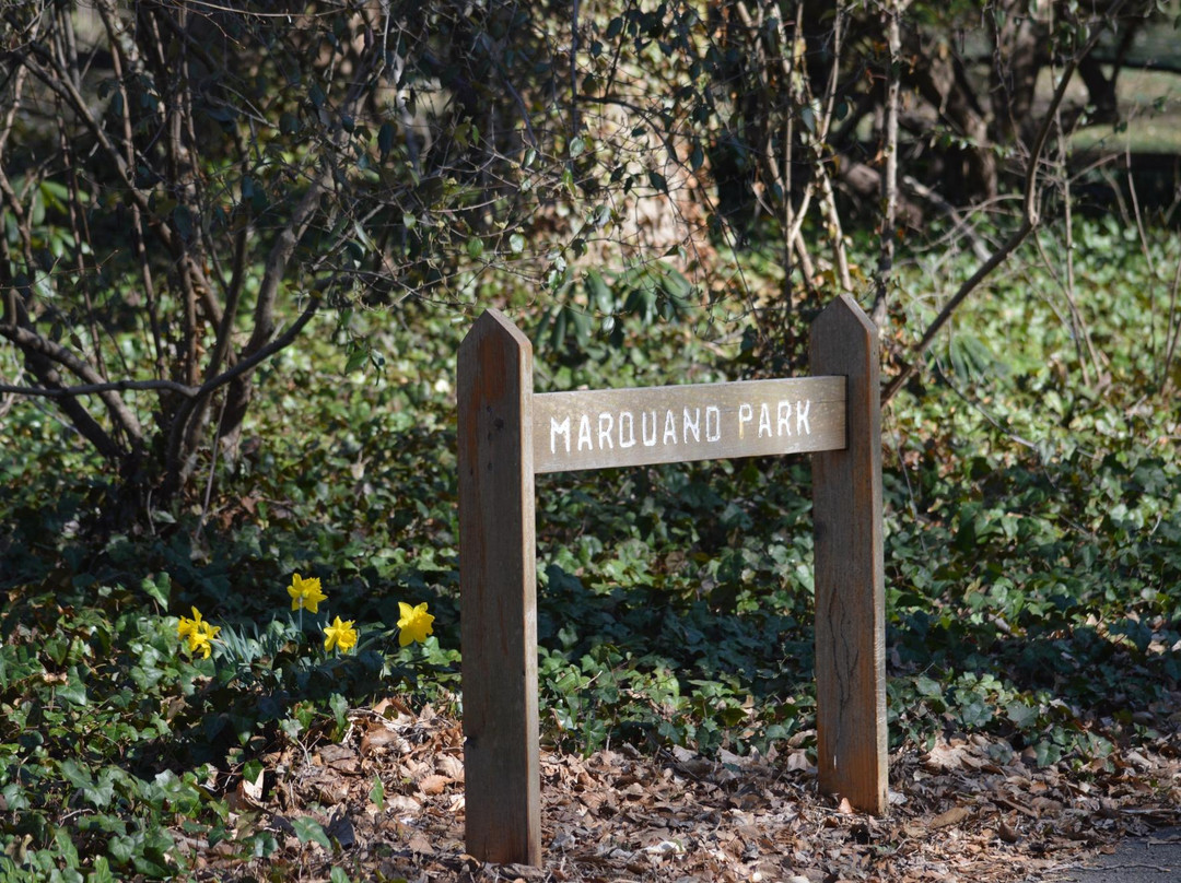 Marquand Park景点图片