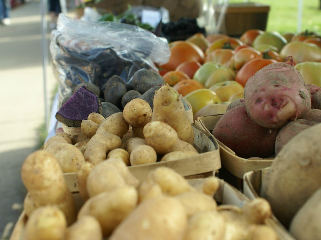 Orange County HomeGrown Farmers Market景点图片
