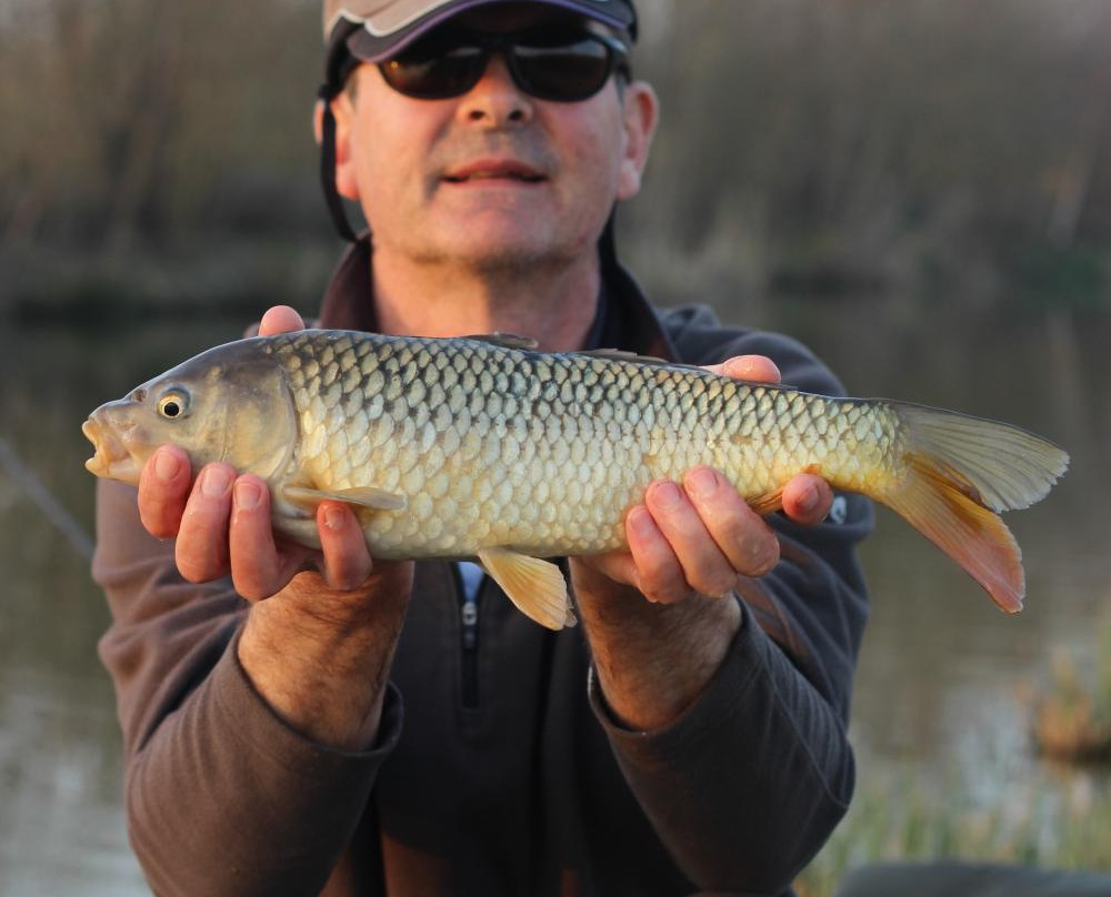 Orchard Lakes Fishery-New Milton必去景点