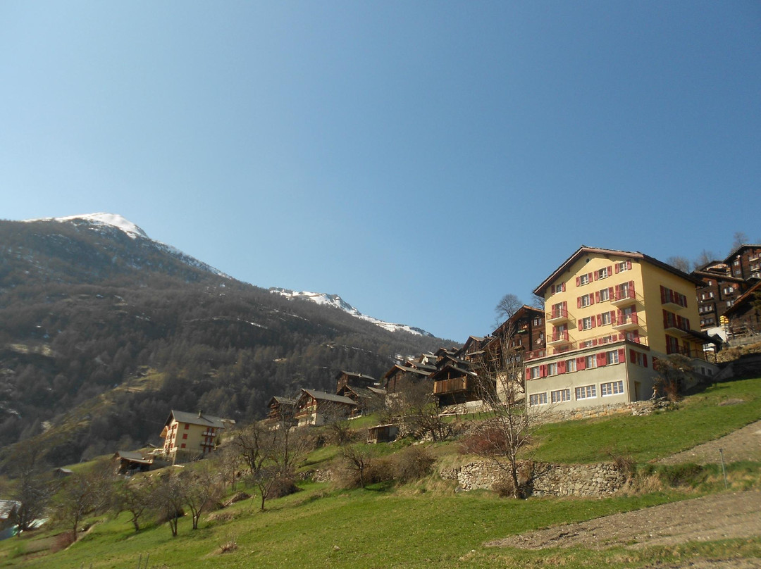 B&B Kailash