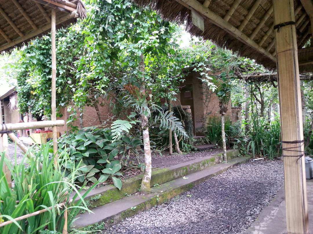 Satria Agrowisata-坦帕克西林必去景点