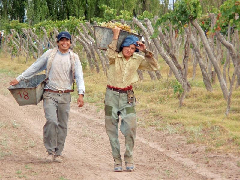 Gavilan Vineyards - Day Tours-圣拉斐尔必去景点