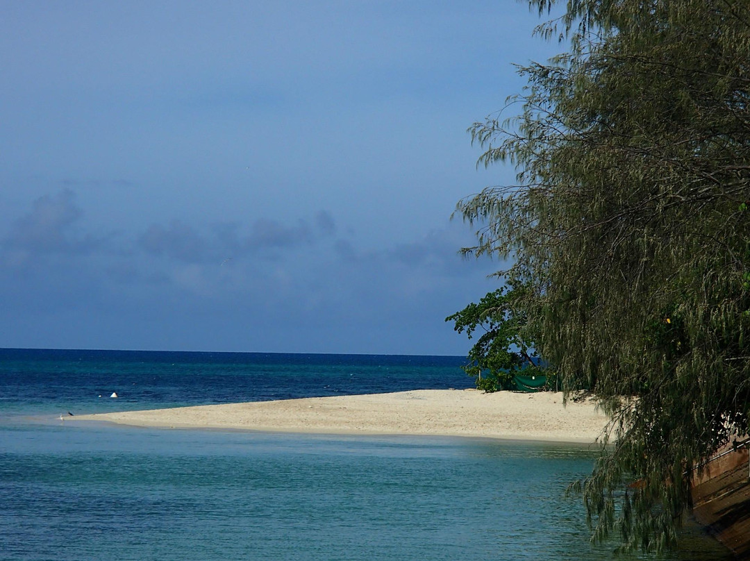 Great Adventures-凯恩斯必去景点