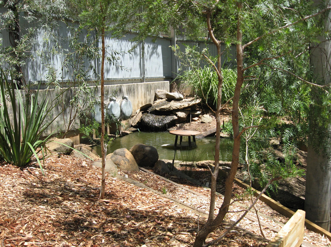 Tamworth Marsupial Park景点图片