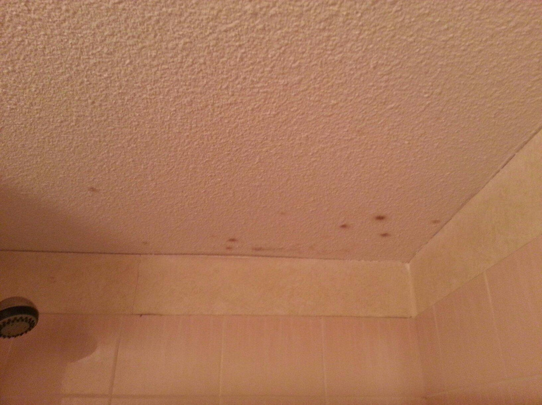 Comfort Hotel Valence主图