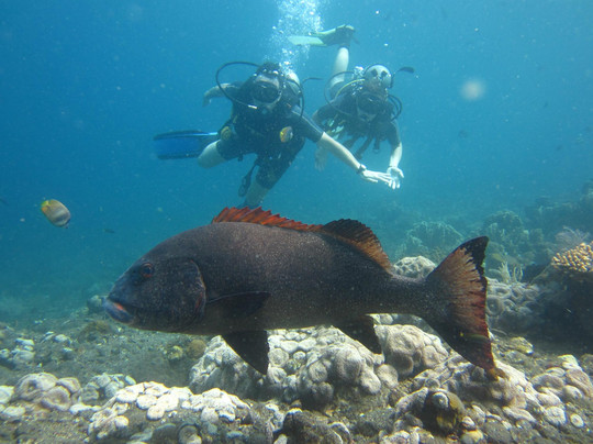 Bali Scuba-沙努尔必去景点