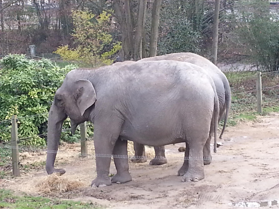 Zoo d'Amiens Métropole-亚眠必去景点