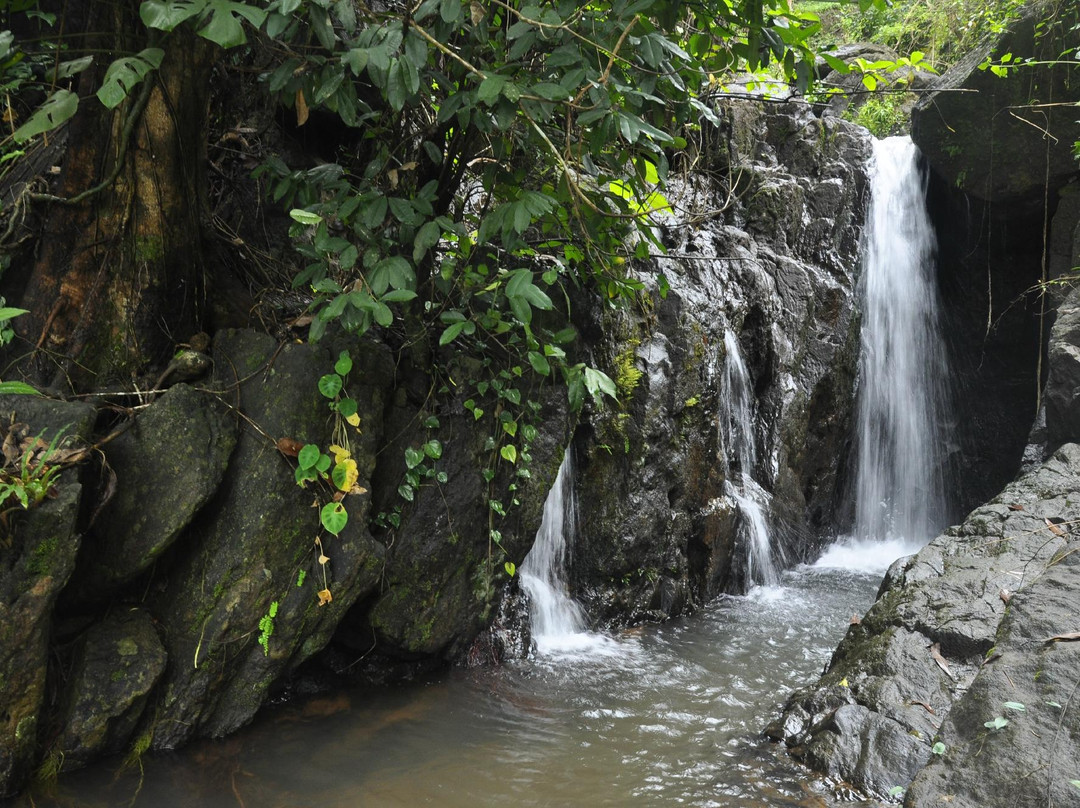 Thonikadavu-Kasaragod必去景点