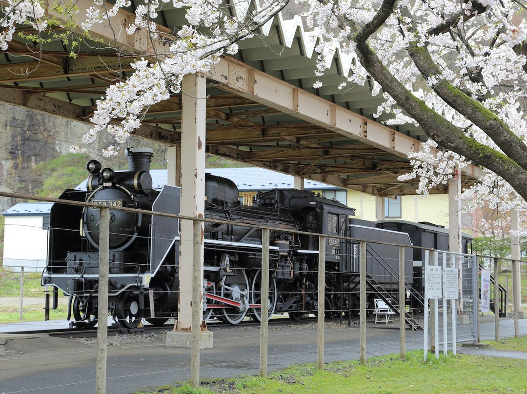 Tenshochi Park-北上市必去景点