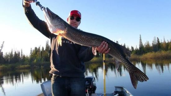 Eddie North Adventures-纳基纳必去景点