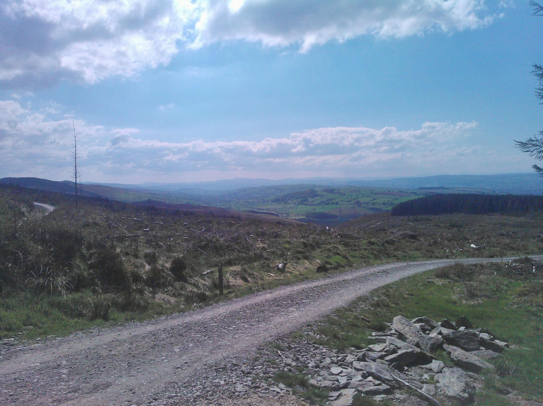 Coed Llandegla Forest-Llandegla必去景点