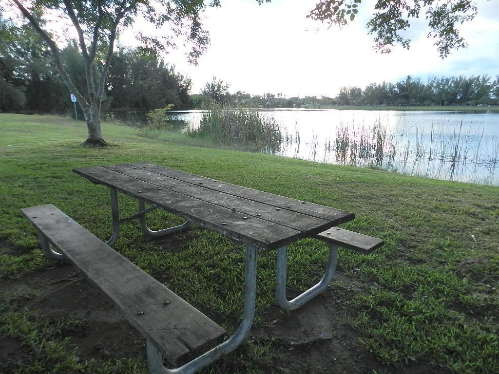 热带公园-迈阿密必去景点