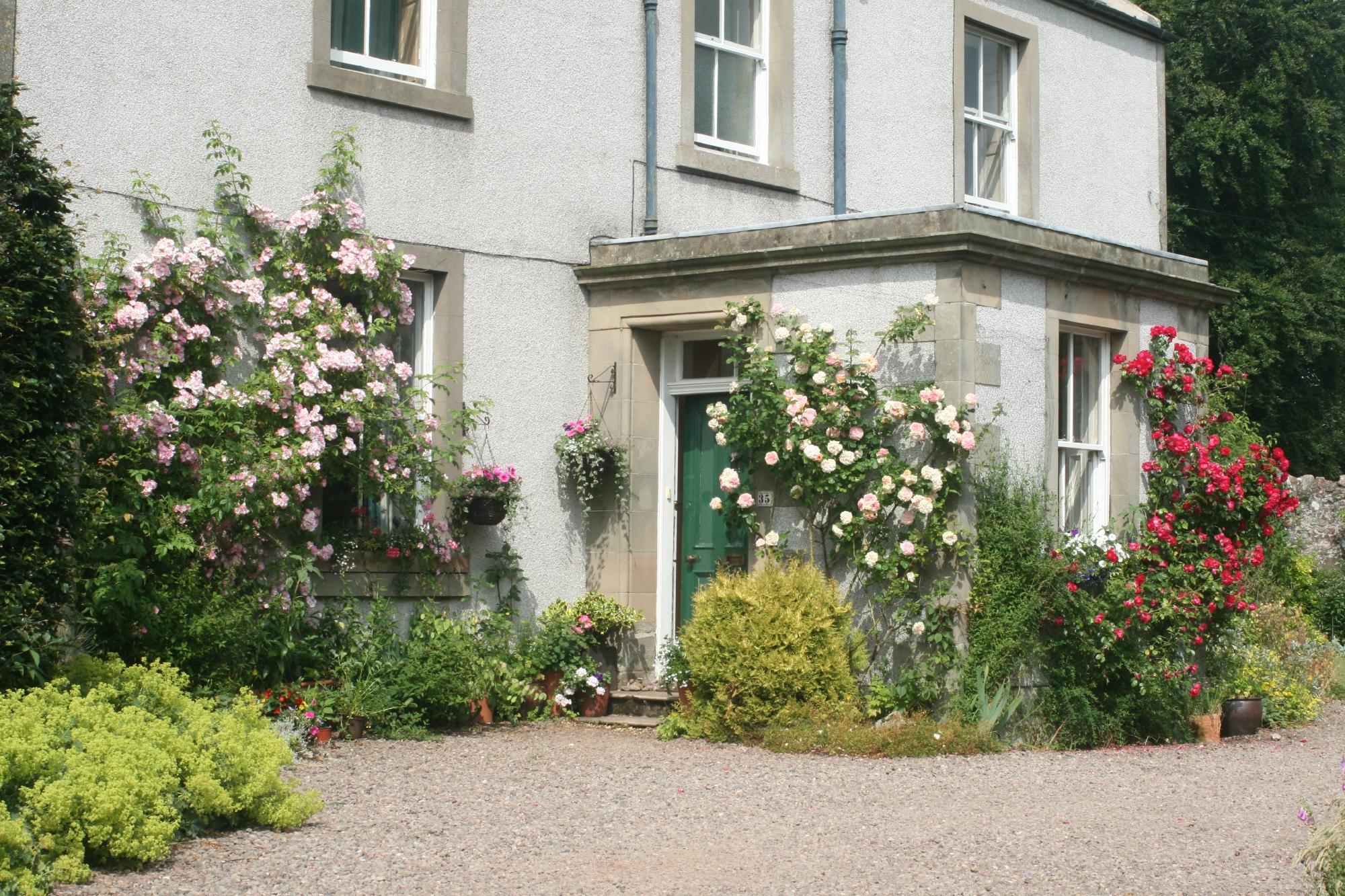 Mansefield B&B-官方