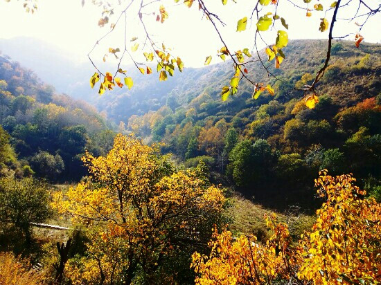 西天山自然保护区景点图片