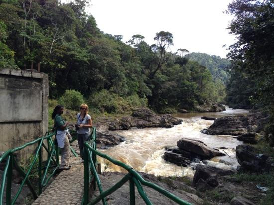 Ranomafana National Park景点图片