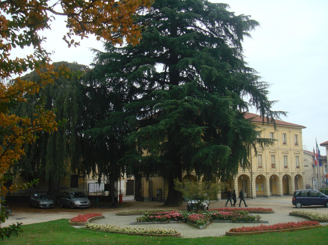 Palazzo Marchini景点图片