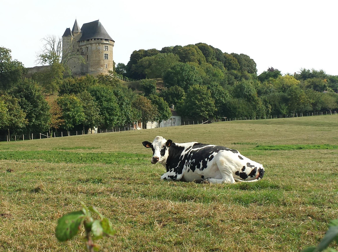 Donjon de Ballon景点图片