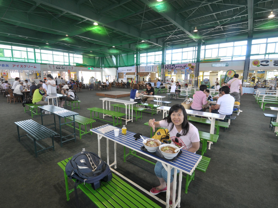 Sun Flower Park Hokuryu Onsen-北龙町必去景点