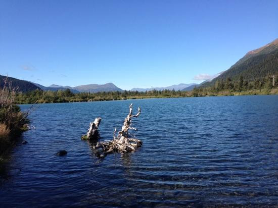 Chugach National Forest-苏厄德必去景点