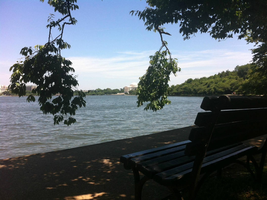 有防潮闸的港池-华盛顿特区必去景点