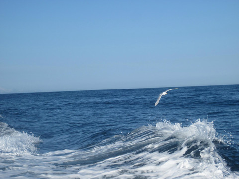 Central Charters and Tours-荷马必去景点