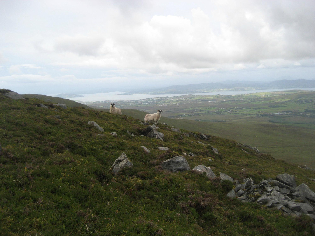 Quigley's Point旅游景点-Slieve Snaght