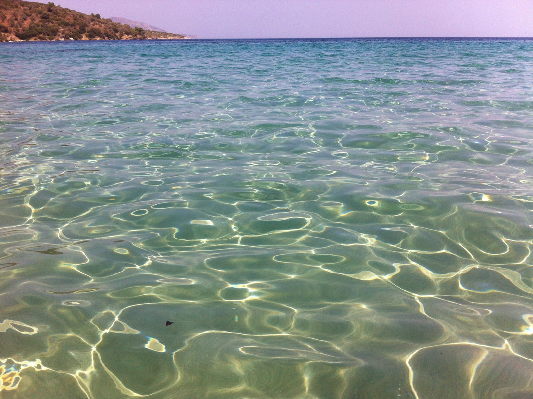 Kerveli Beach景点图片