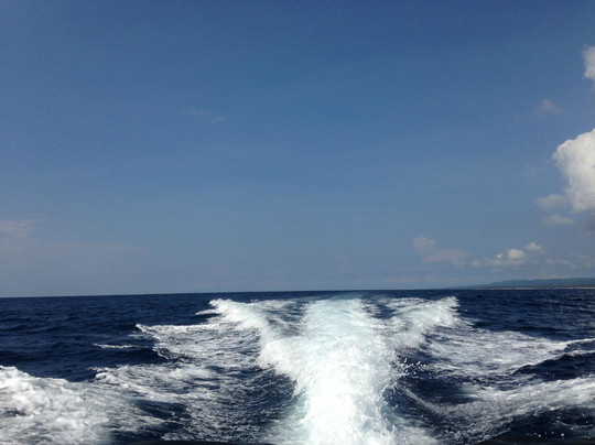 Bali Breizh Divers-沙努尔必去景点