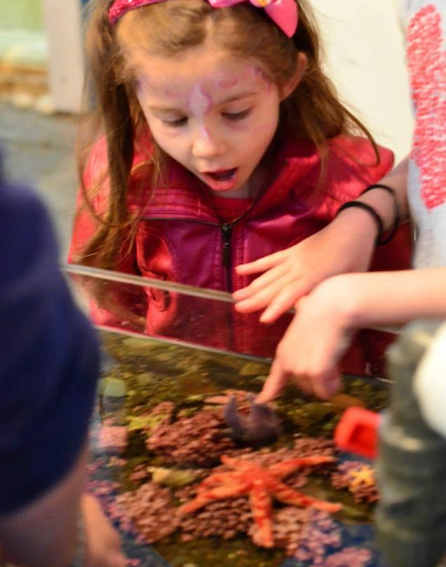 Petty Harbour Mini Aquarium-Petty Harbour必去景点