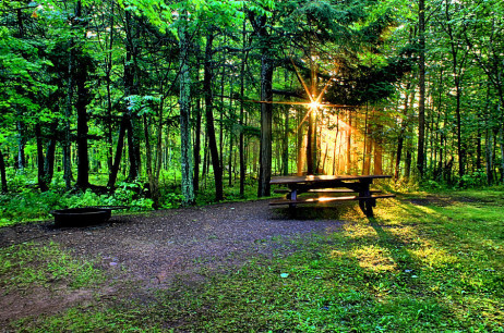 Brush Creek Campground