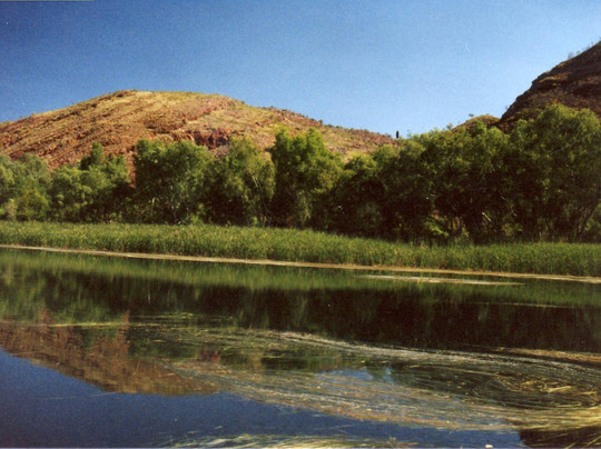 Go Wild Adventure Tours - Econoeing-库努纳拉必去景点