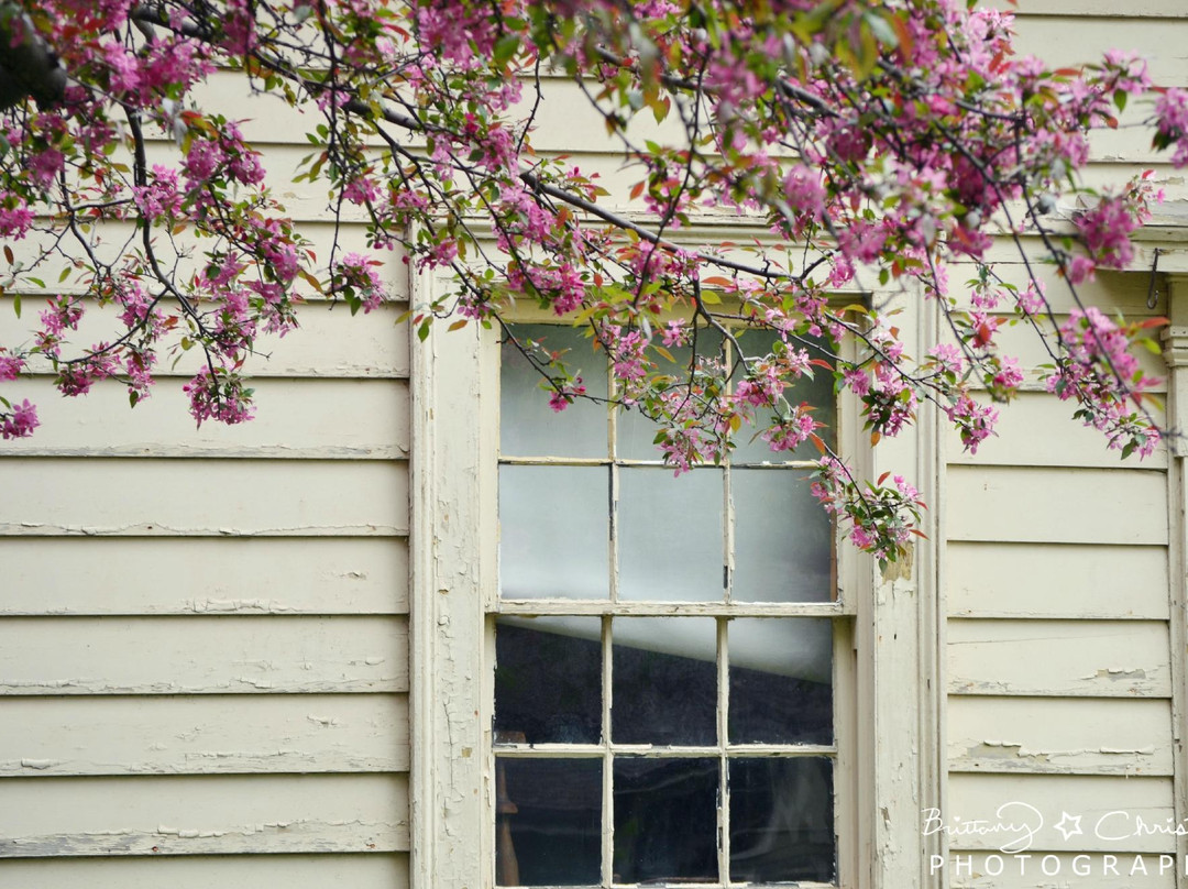 黑溪拓荒村-多伦多必去景点