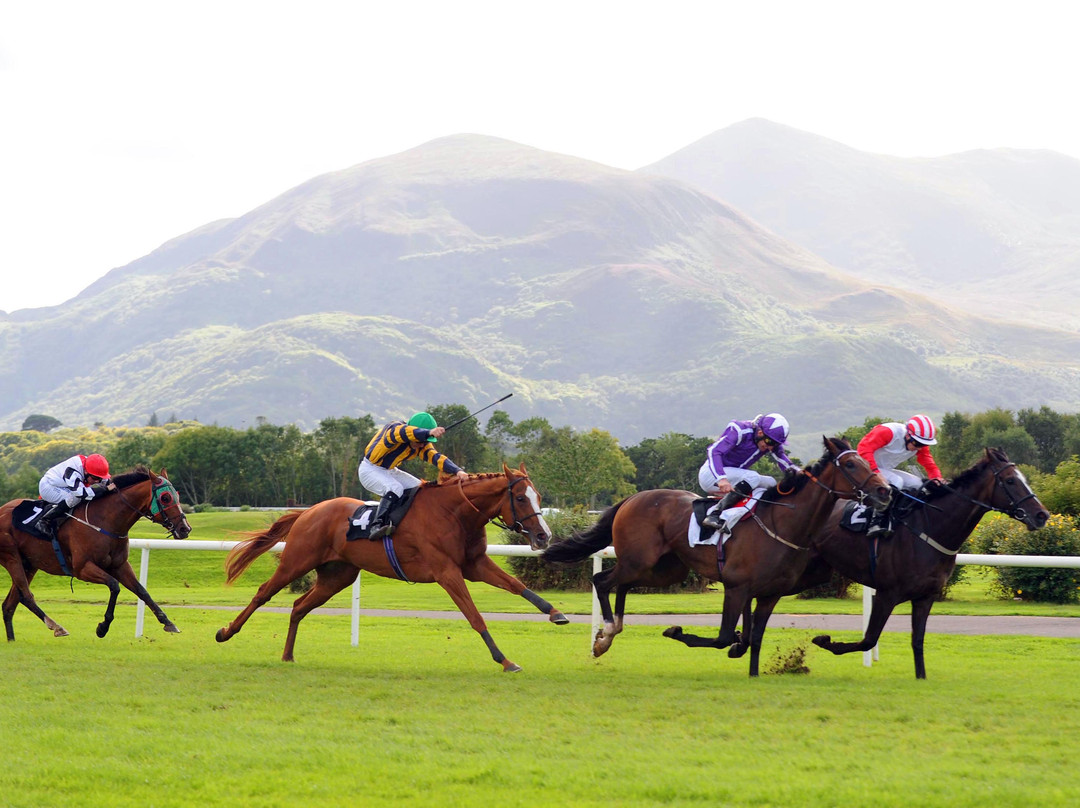 Killarney Racecourse景点图片