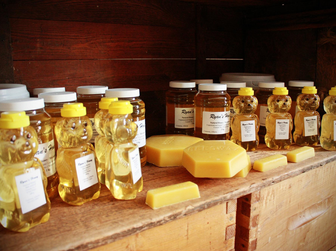 Fallentimber Meadery-Water Valley必去景点