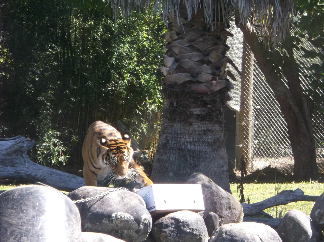 汉密尔顿动物园-汉密尔顿必去景点
