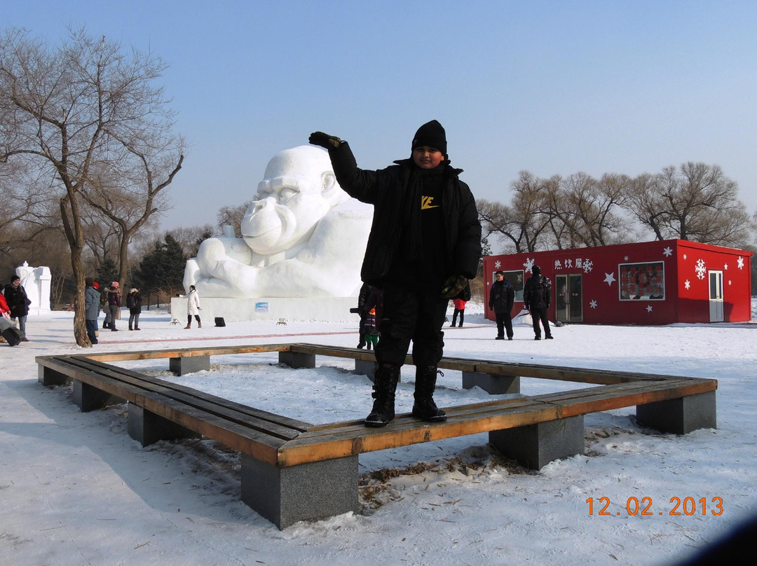 哈尔滨雪博会-哈尔滨市必去景点
