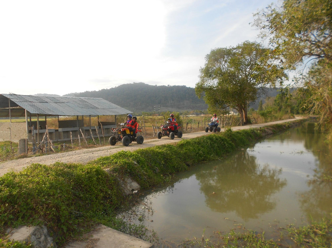 Atv Extreme Zone Langkawi - Private Tours景点图片