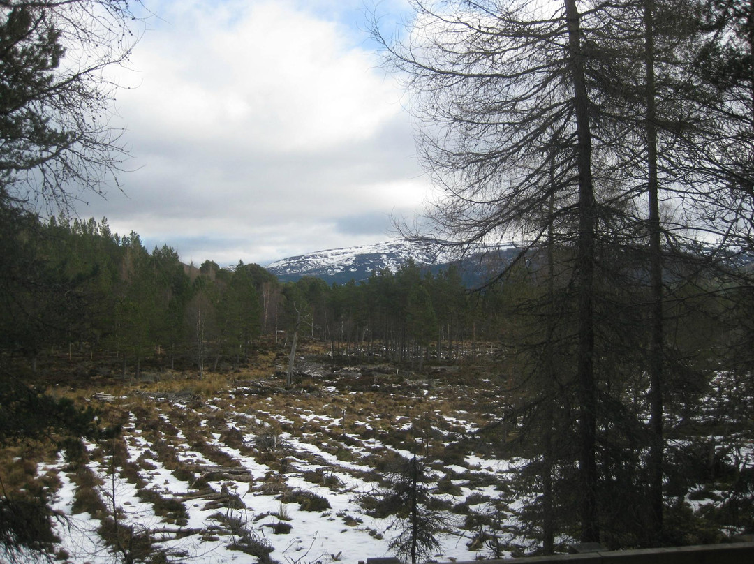 Mar Lodge Estate-Braemar必去景点