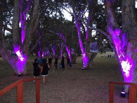 悉尼世纪公园-悉尼必去景点