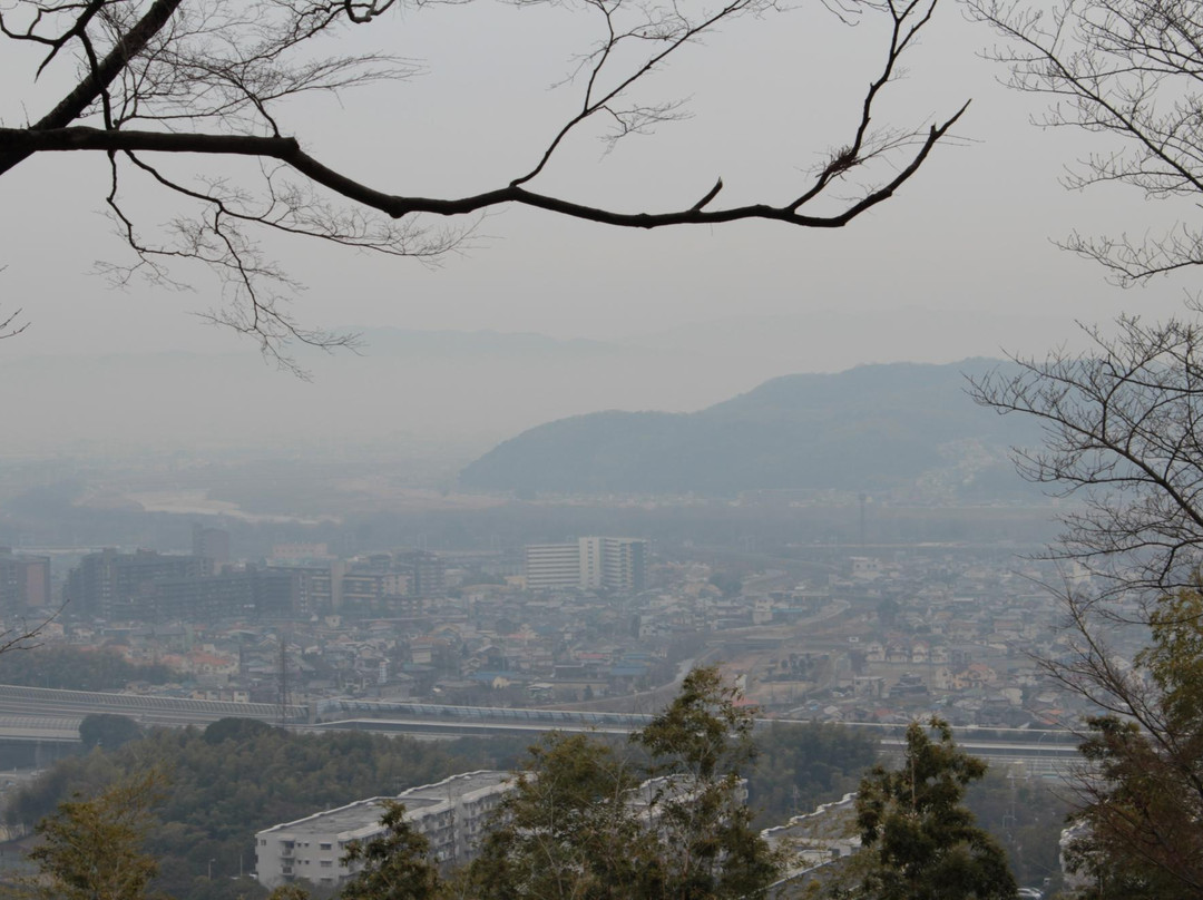 Wakayama Shrine景点图片