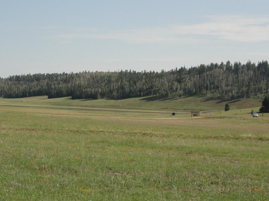Kaibab National Forest-Jacob Lake必去景点