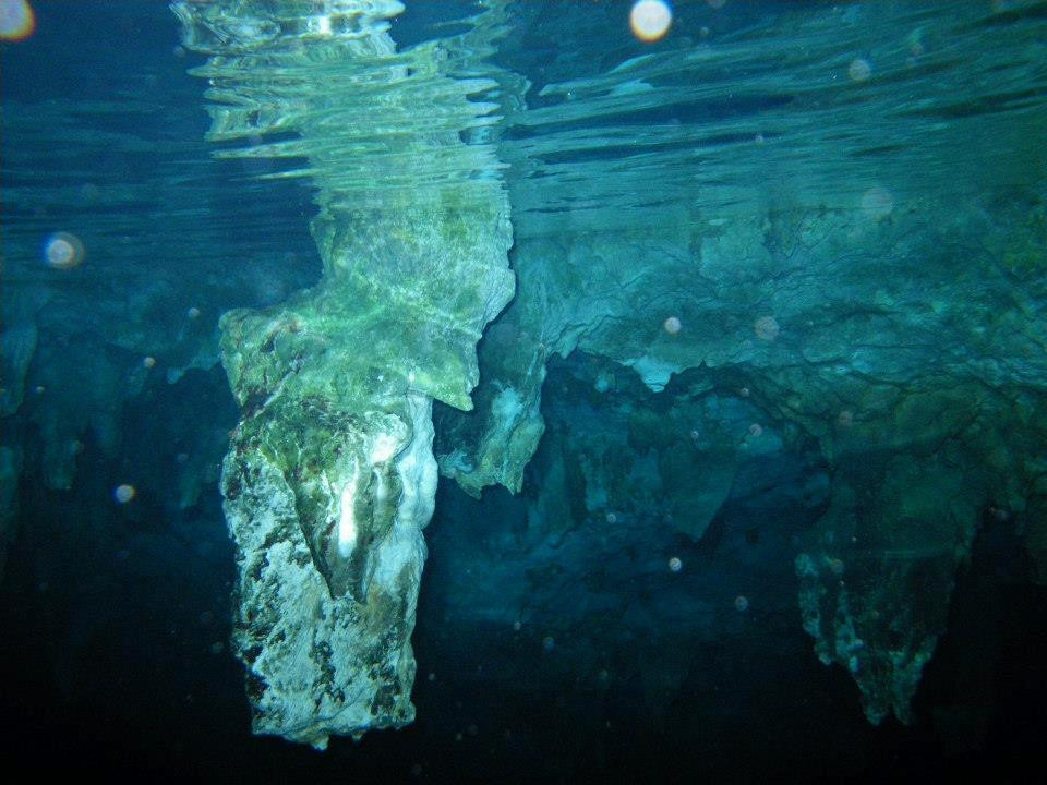 La Calypso Dive Center-图伦必去景点