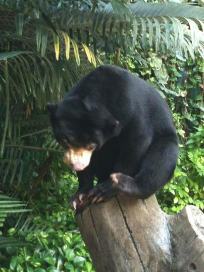 Noichi Zoological Park of Kochi Prefecture-香南市必去景点