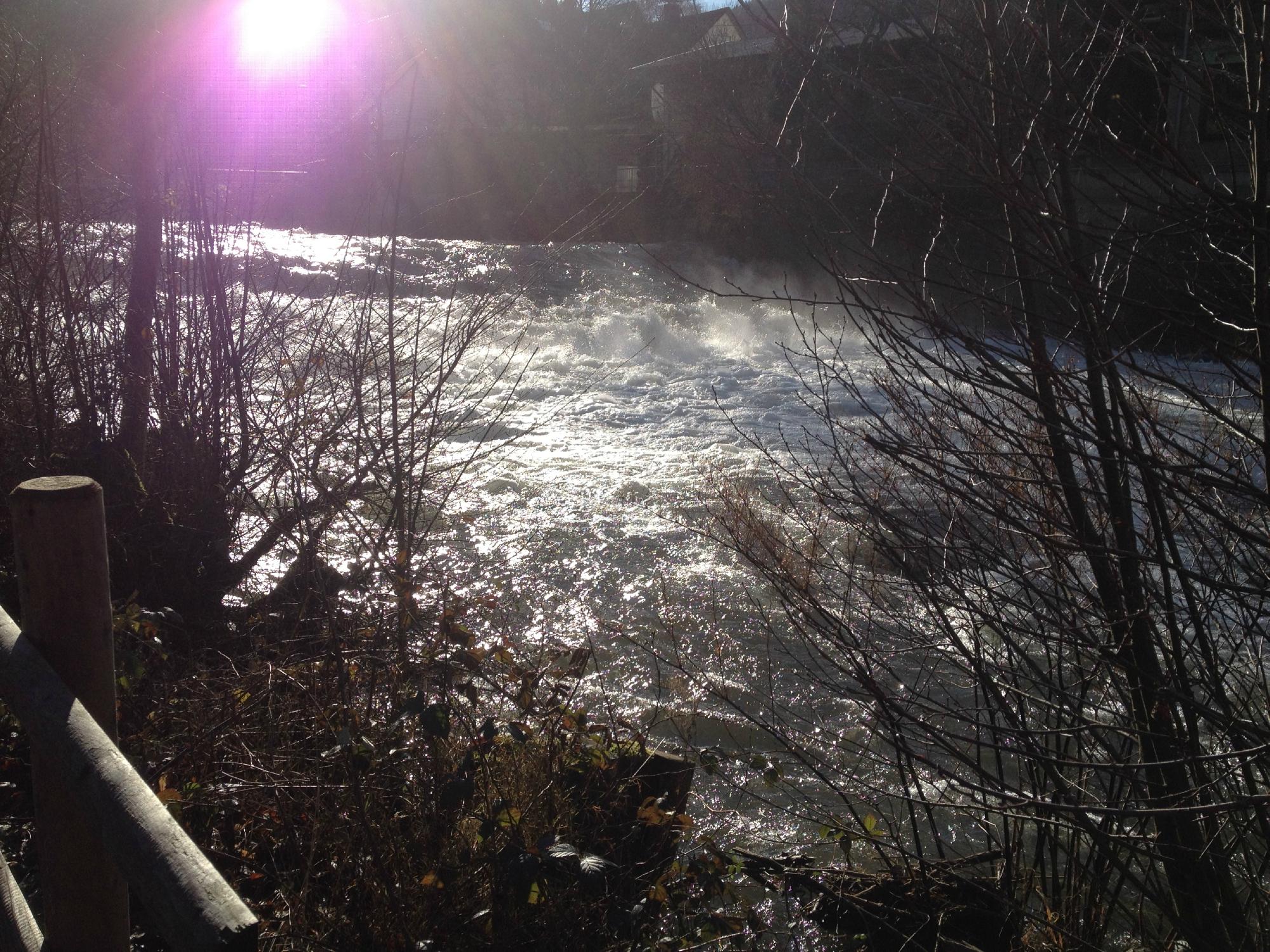 Gasthaus Rebstock-酒店景观