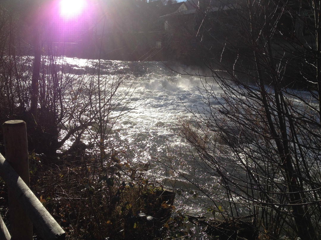 Gasthaus Rebstock主图