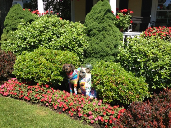 Spoiled Rotten-奥甘奎特必去景点