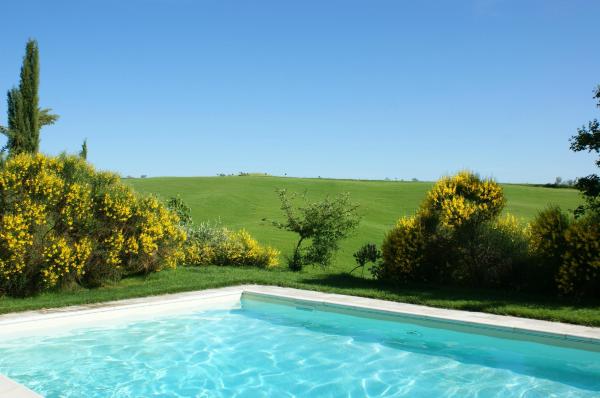 Agriturismo San Fabio-泳池