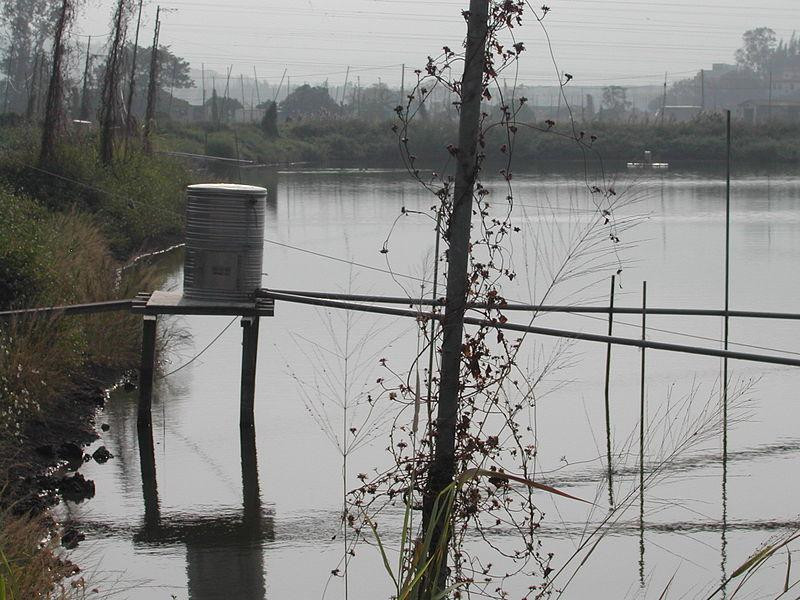 米埔自然保护区-香港必去景点